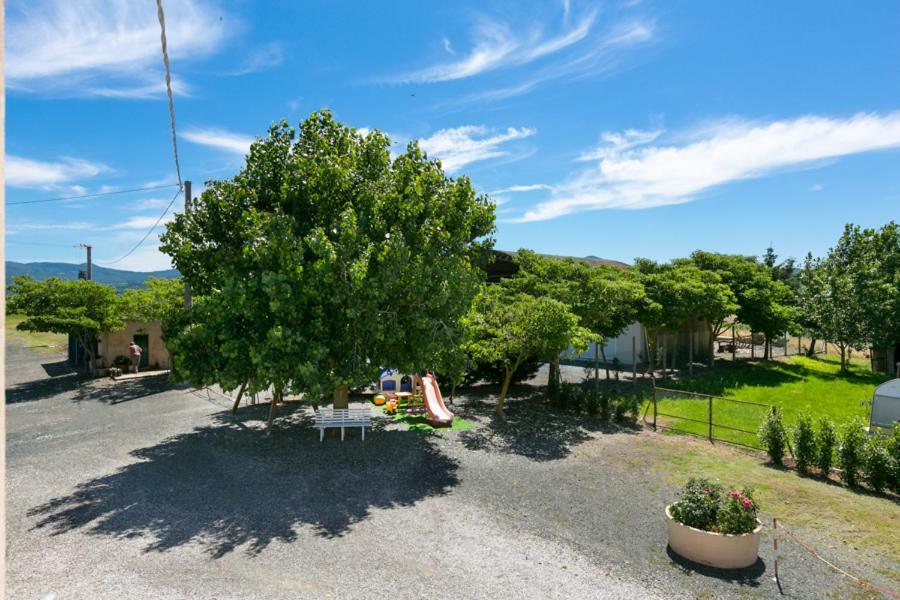 Agriturismo Case Nuove Castellina Marittima Exterior foto